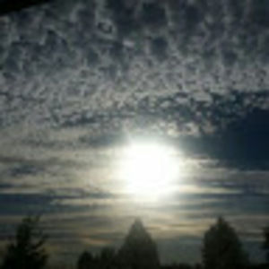 Meet your Posher, Cameron